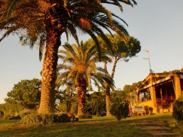 Отель Puig Gros Montras Экстерьер фото